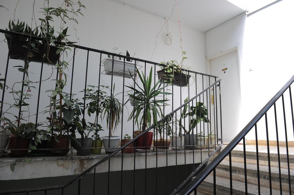 Apartment Daca Stan Belgrad Dış mekan fotoğraf