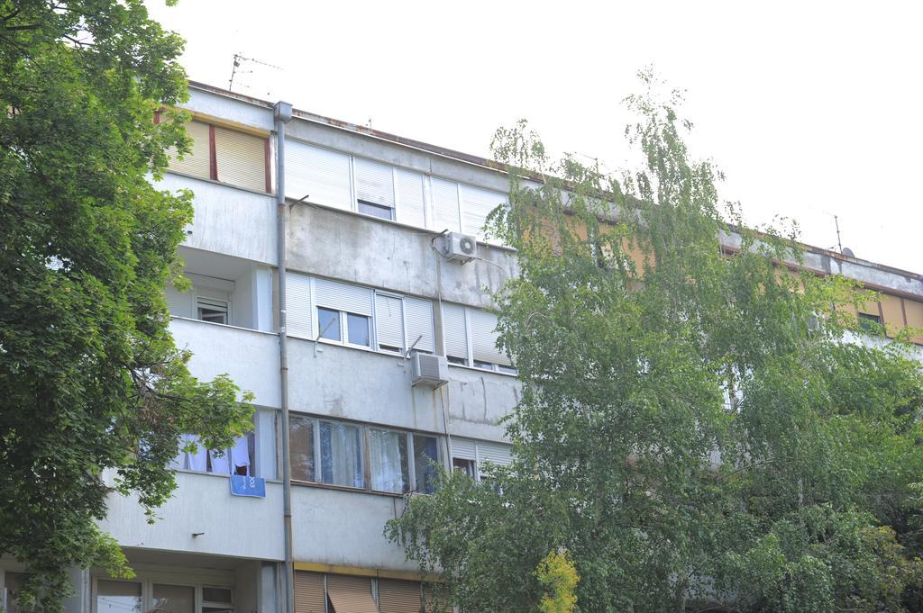 Apartment Daca Stan Belgrad Dış mekan fotoğraf