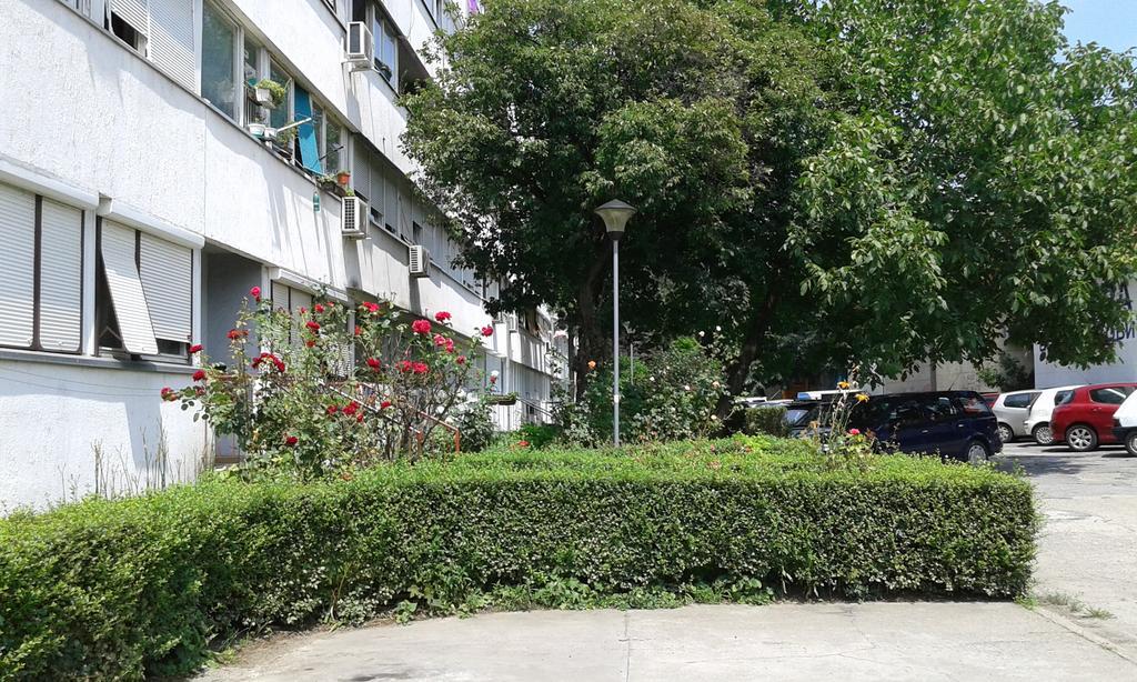 Apartment Daca Stan Belgrad Dış mekan fotoğraf