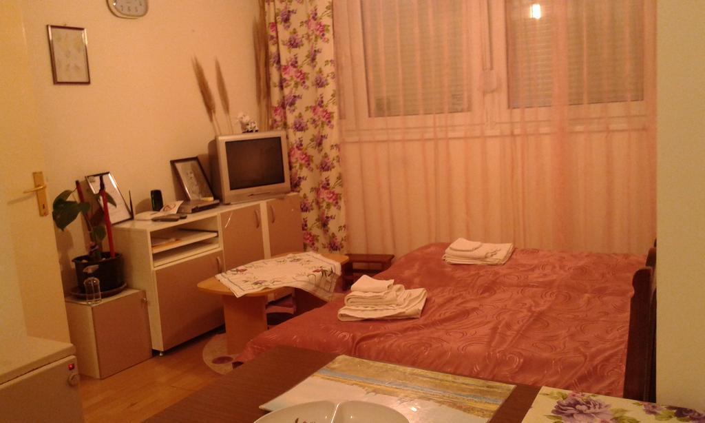 Apartment Daca Stan Belgrad Dış mekan fotoğraf